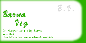 barna vig business card